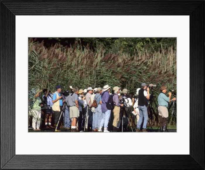 Framed Print : Picture No. 10866838 Framed Print : Picture No. 10866838