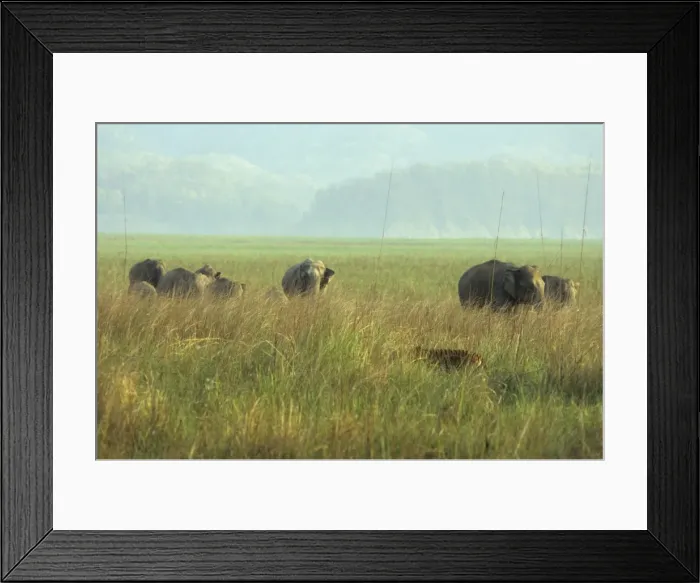 Framed Print : Picture No. 10867026 Framed Print : Picture No. 10867026