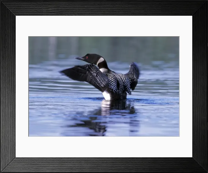 Framed Print : Picture No. 10867038