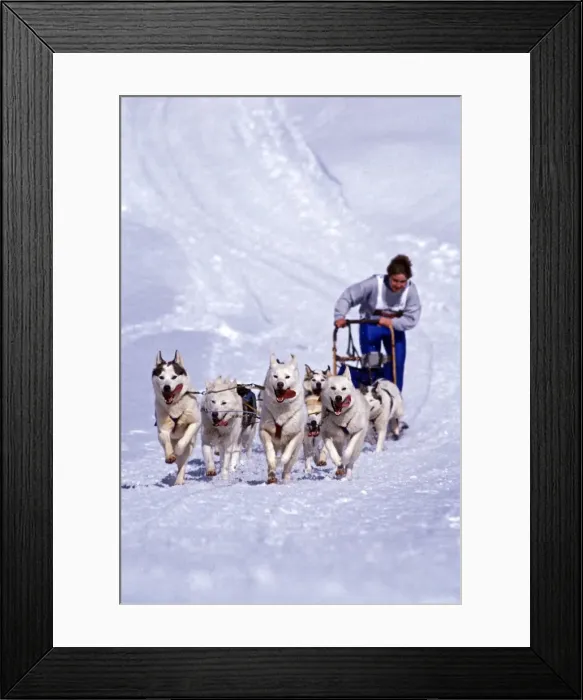 Framed Print : Picture No. 10867049 Framed Print : Picture No. 10867049