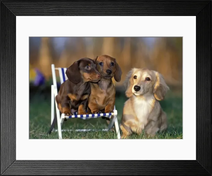 Framed Print : Picture No. 10867065 Framed Print : Picture No. 10867065