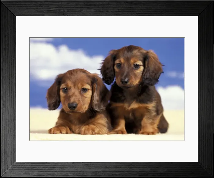 Framed Print : Picture No. 10867071 Framed Print : Picture No. 10867071