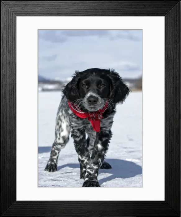 Framed Print : Picture No. 10867192 Framed Print : Picture No. 10867192