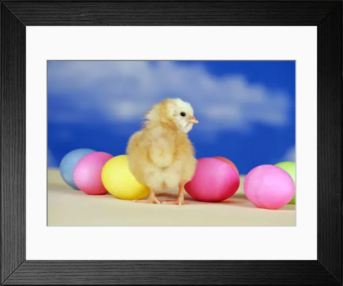 Framed Print : Picture No. 10867193 Framed Print : Picture No. 10867193