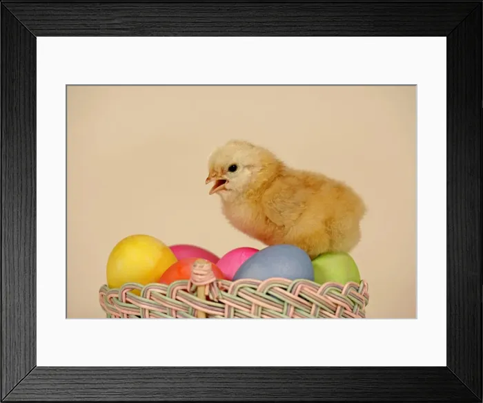Framed Print : Picture No. 10867194 Framed Print : Picture No. 10867194