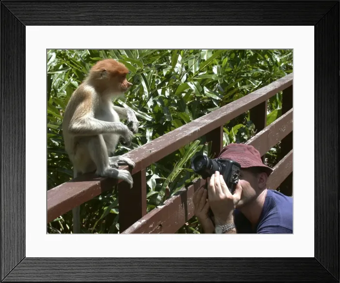 Framed Print : Picture No. 10867244 Framed Print : Picture No. 10867244