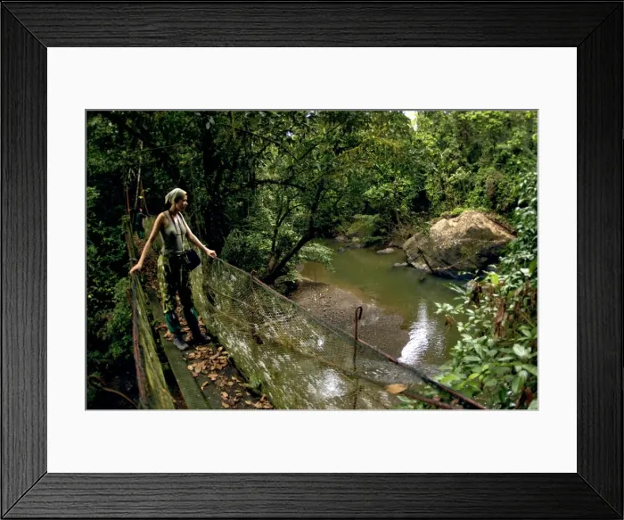 Framed Print : Picture No. 10867299 Framed Print : Picture No. 10867299