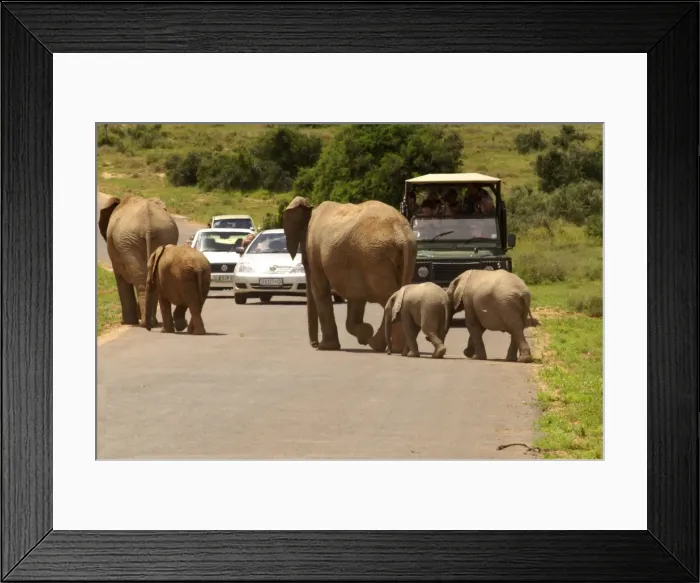 Framed Print : Picture No. 10867358 Framed Print : Picture No. 10867358