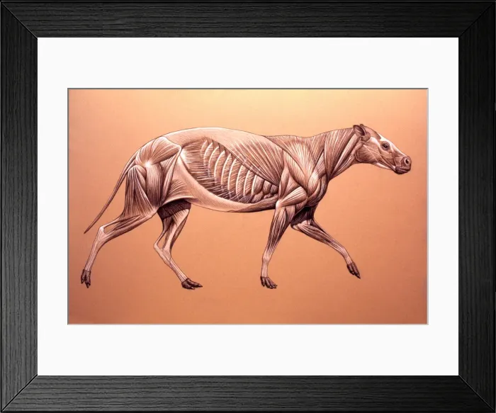 Framed Print : Picture No. 10867373 Framed Print : Picture No. 10867373