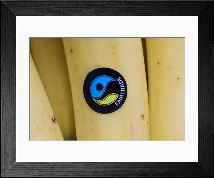 Framed Print : Picture No. 10867526 Framed Print : Picture No. 10867526
