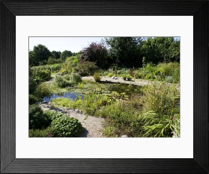 Framed Print : Picture No. 10867539 Framed Print : Picture No. 10867539