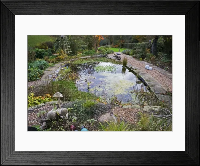 Framed Print : Picture No. 10867538 Framed Print : Picture No. 10867538