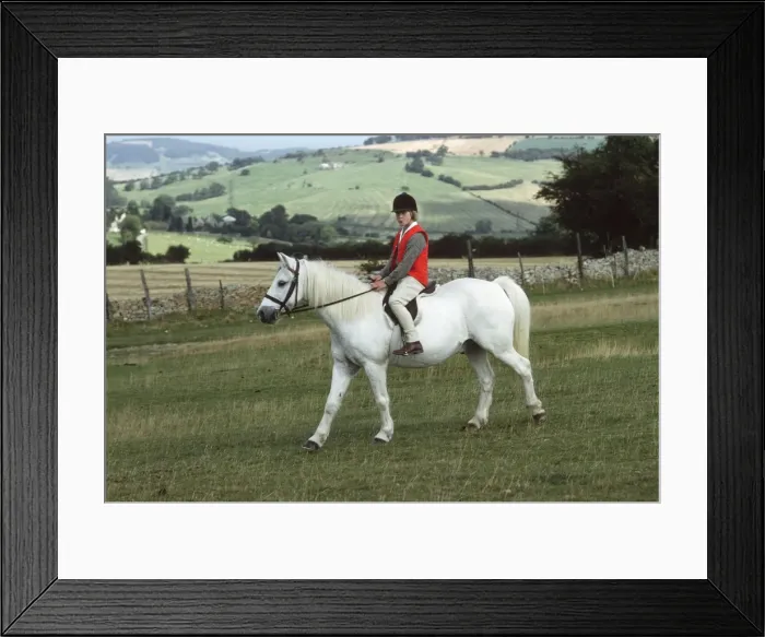 Framed Print : Picture No. 10867562
