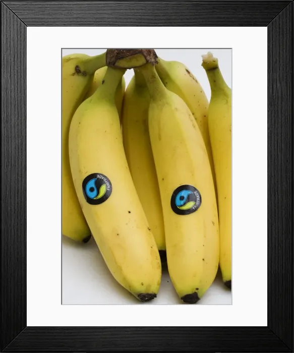 Framed Print : Picture No. 10867559 Framed Print : Picture No. 10867559