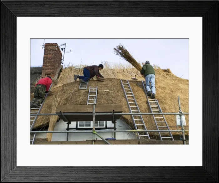 Framed Print : Picture No. 10867568 Framed Print : Picture No. 10867568