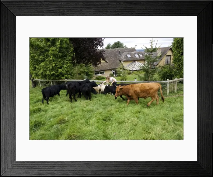 Framed Print : Picture No. 10867553 Framed Print : Picture No. 10867553