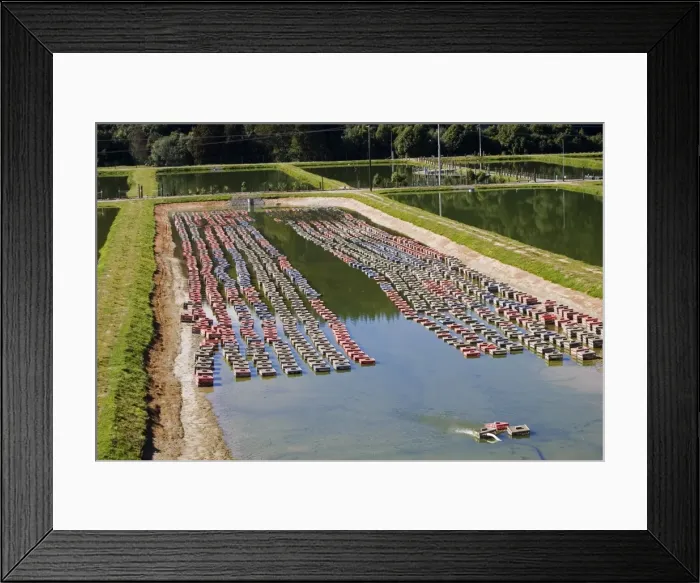 Framed Print : Picture No. 10867671 Framed Print : Picture No. 10867671