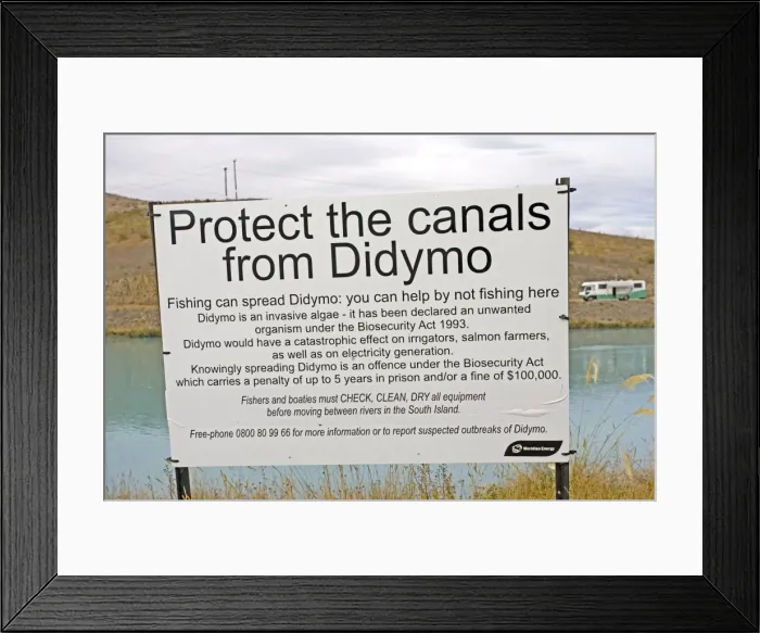 Framed Print : Picture No. 10867706 Framed Print : Picture No. 10867706