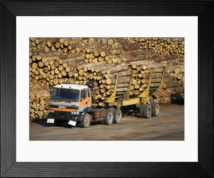Framed Print : Picture No. 10867657 Framed Print : Picture No. 10867657