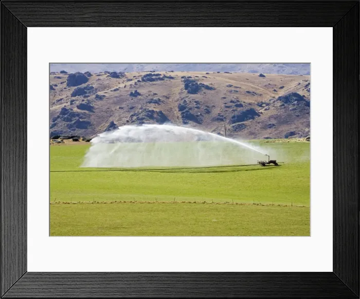 Framed Print : Picture No. 10867748 Framed Print : Picture No. 10867748