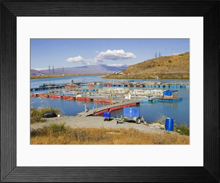 Framed Print : Picture No. 10867766