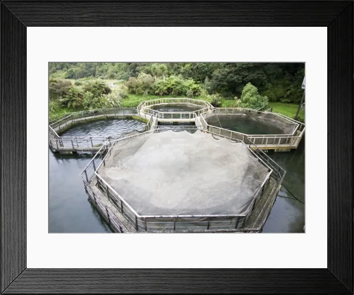 Framed Print : Picture No. 10867763