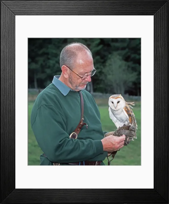 Framed Print : Picture No. 10868394 Framed Print : Picture No. 10868394
