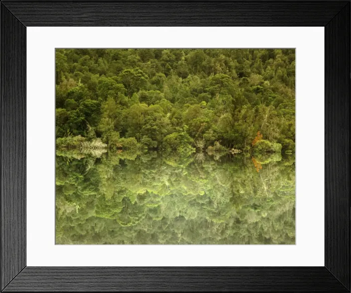 Framed Print : Picture No. 10868591 Framed Print : Picture No. 10868591