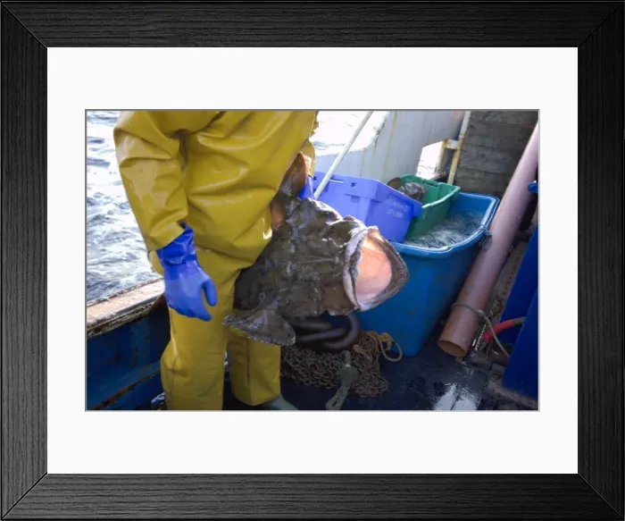 Framed Print : Picture No. 10868784 Framed Print : Picture No. 10868784