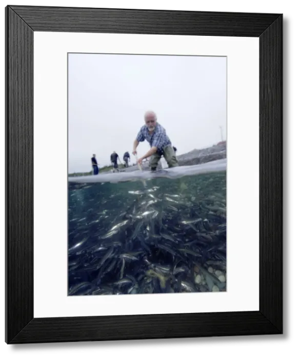 Framed Print : Picture No. 10868771 Framed Print : Picture No. 10868771