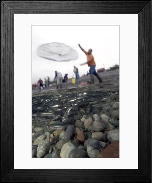 Framed Print : Picture No. 10868770 Framed Print : Picture No. 10868770