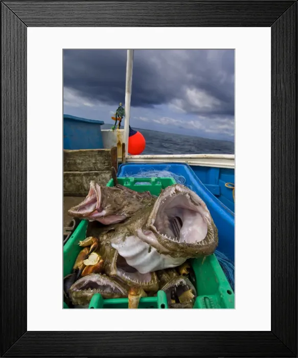 Framed Print : Picture No. 10868789 Framed Print : Picture No. 10868789