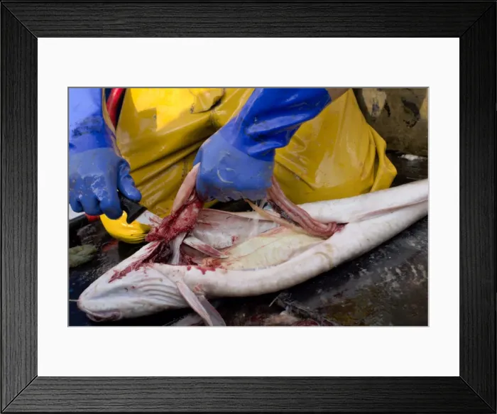 Framed Print : Picture No. 10868792 Framed Print : Picture No. 10868792