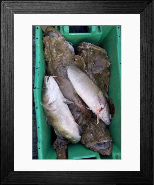 Framed Print : Picture No. 10868786 Framed Print : Picture No. 10868786