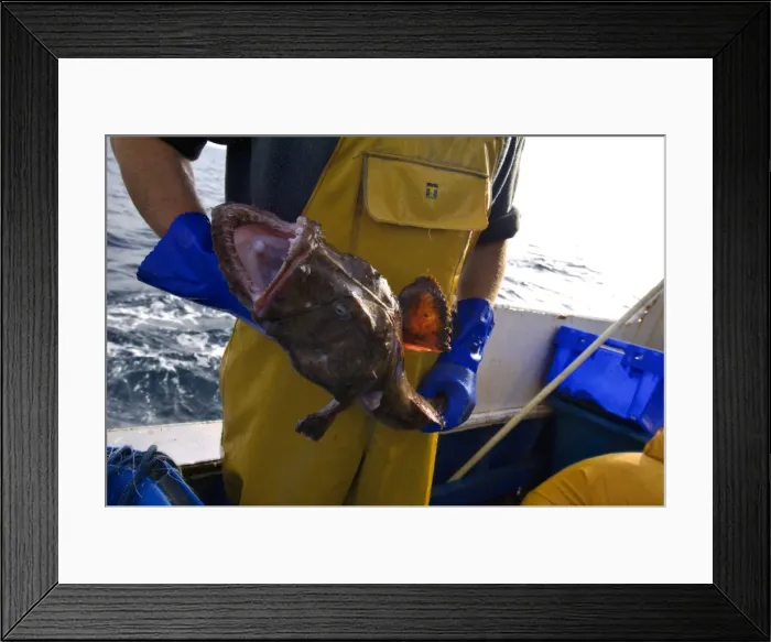 Framed Print : Picture No. 10868790 Framed Print : Picture No. 10868790