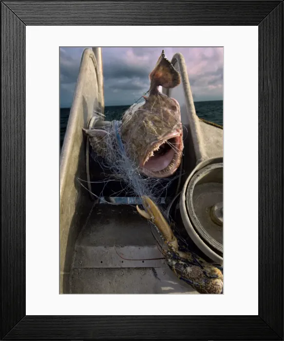 Framed Print : Picture No. 10868787 Framed Print : Picture No. 10868787