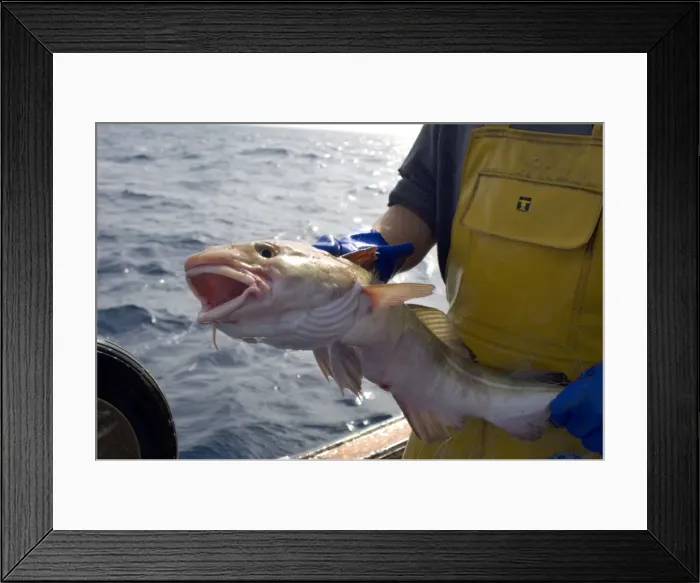 Framed Print : Picture No. 10868793 Framed Print : Picture No. 10868793