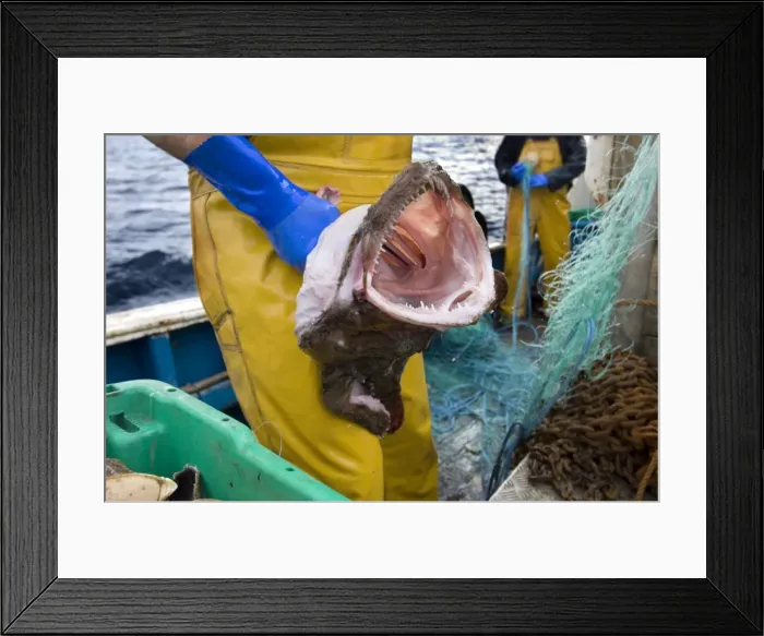 Framed Print : Picture No. 10868797 Framed Print : Picture No. 10868797
