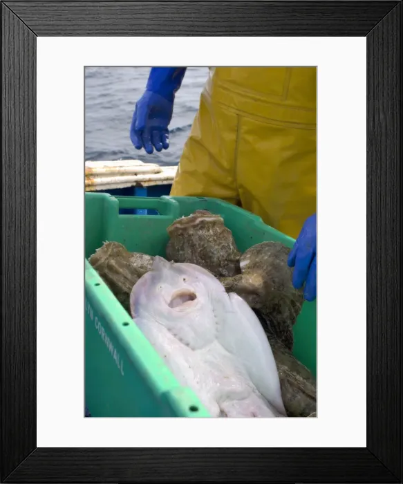 Framed Print : Picture No. 10868795 Framed Print : Picture No. 10868795