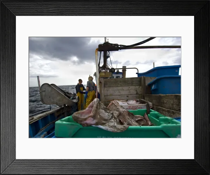 Framed Print : Picture No. 10868798 Framed Print : Picture No. 10868798