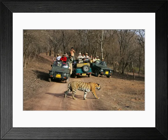 Framed Print : Picture No. 10868959 Framed Print : Picture No. 10868959