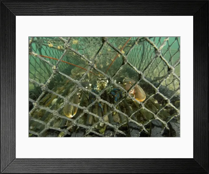 Framed Print : Picture No. 10868808 Framed Print : Picture No. 10868808