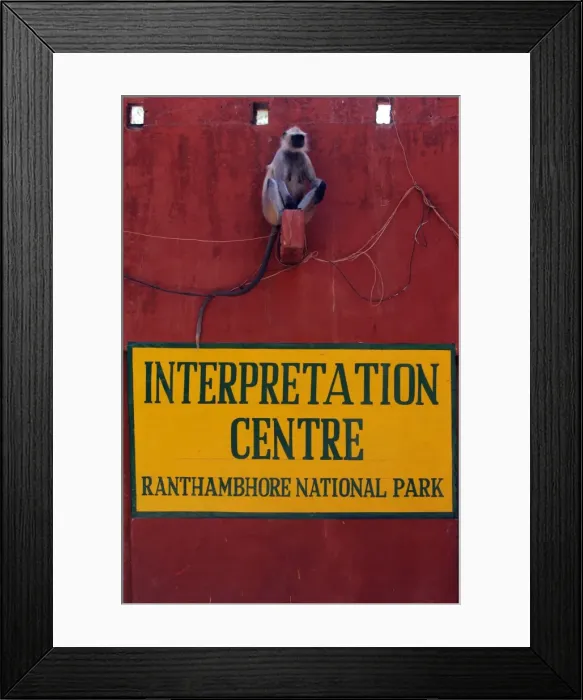 Framed Print : Picture No. 10868975