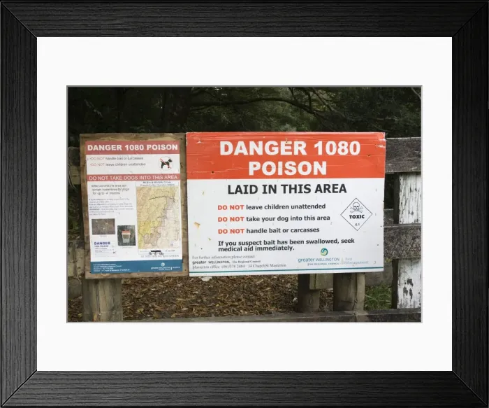 Framed Print : Picture No. 10869059 Framed Print : Picture No. 10869059