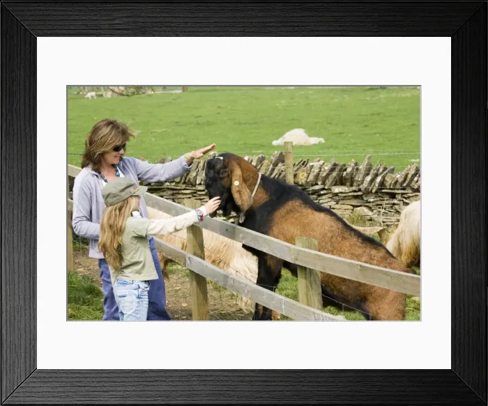 Framed Print : Picture No. 10869050 Framed Print : Picture No. 10869050