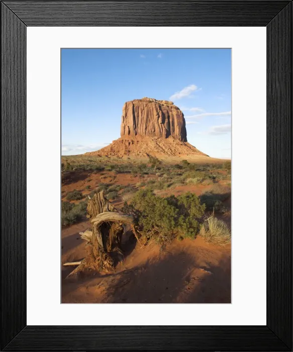 Framed Print : Picture No. 10869166 Framed Print : Picture No. 10869166