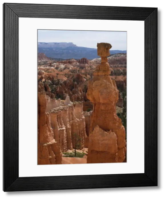 Framed Print : Picture No. 10869163