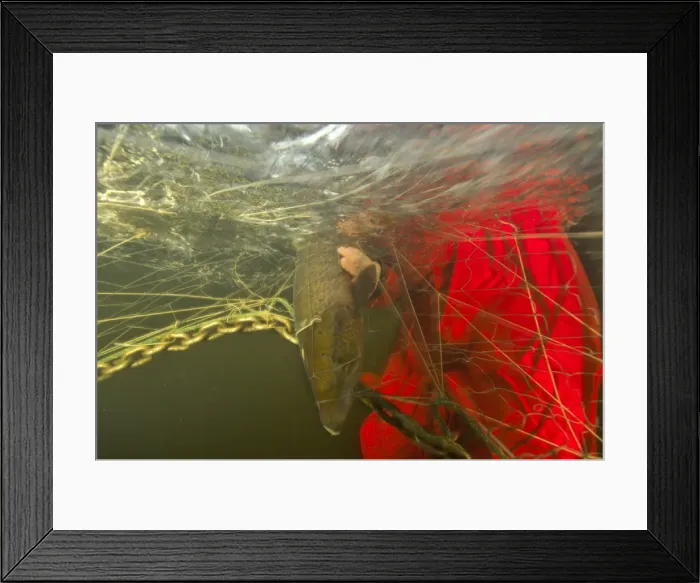 Framed Print : Picture No. 10869203 Framed Print : Picture No. 10869203