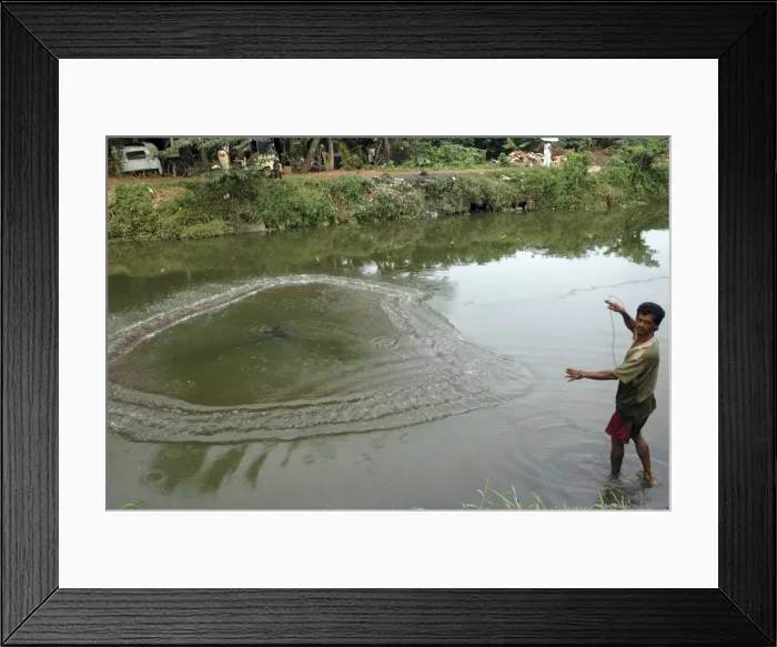 Framed Print : Picture No. 10869297 Framed Print : Picture No. 10869297