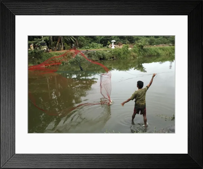 Framed Print : Picture No. 10869296 Framed Print : Picture No. 10869296